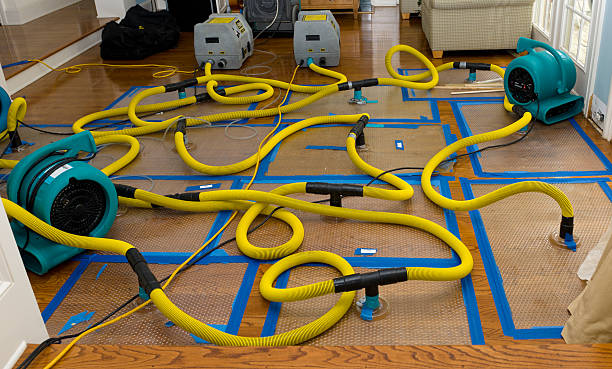 Professional Crawl Space Water Removal technician working in Awendaw, SC